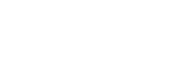 diva spa white logo