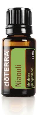 download 1 ce414833 b969 43f5 94e8 51ba7dacb014