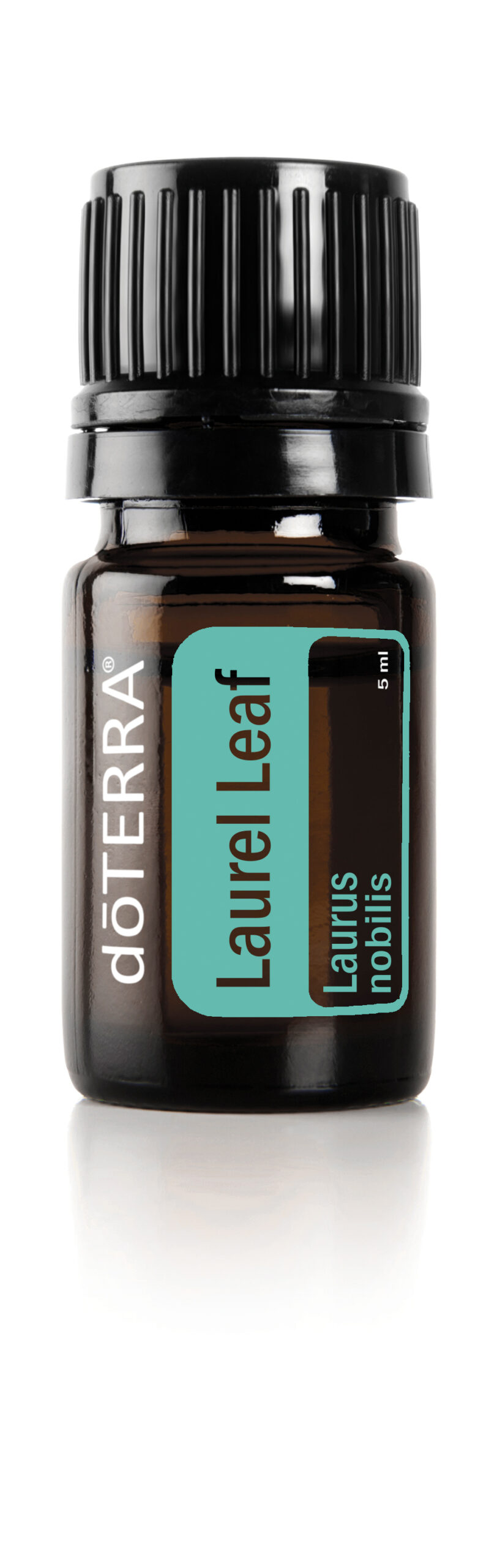 laurel leaf 5ml