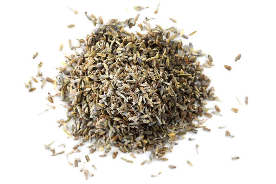 English Lavender H00223 010  55760