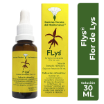 Flys1
