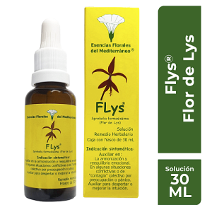 Flys1
