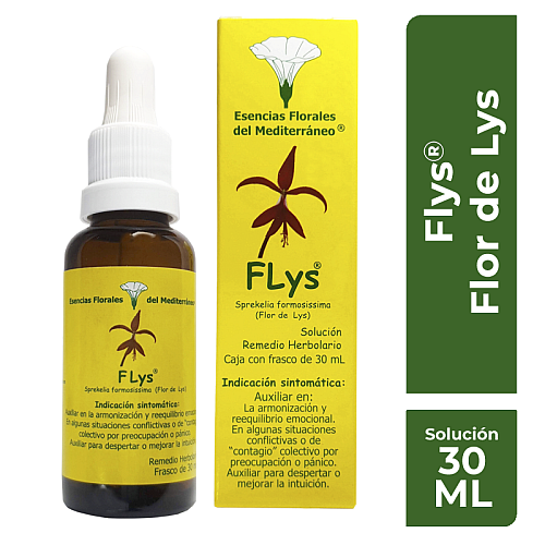 Flys1