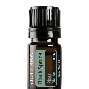 Black Sprouce 5 ml