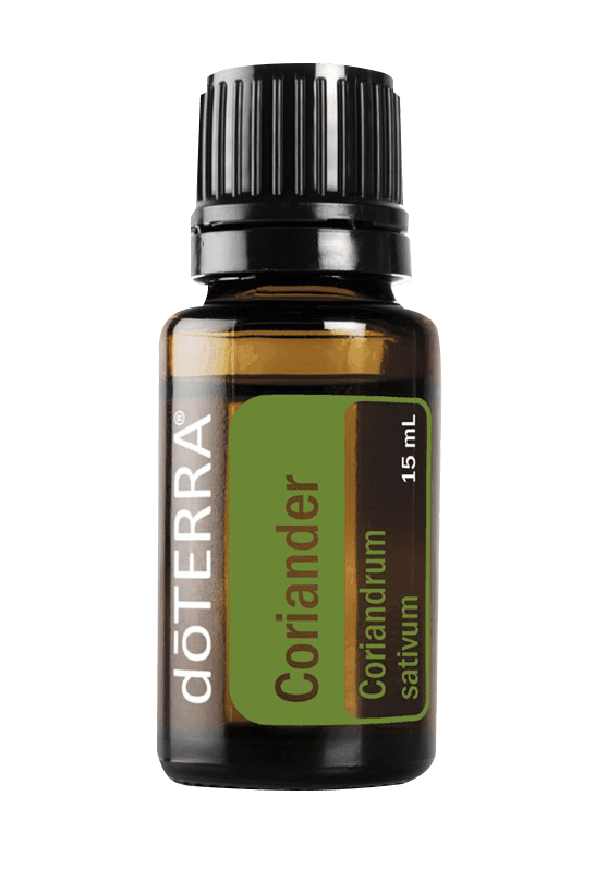 Coriander 15 ml