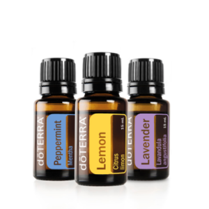 introductory kit