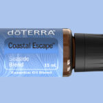 coastal escape preview